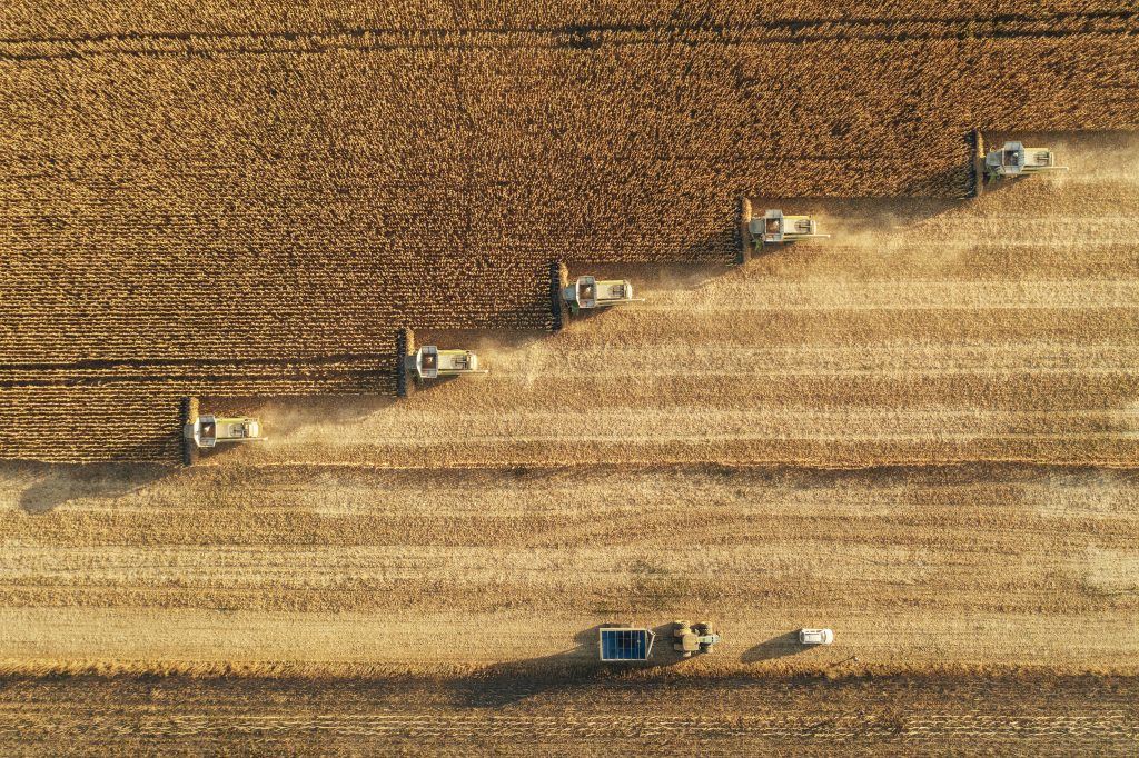 Ernte in der Landwirtschaft